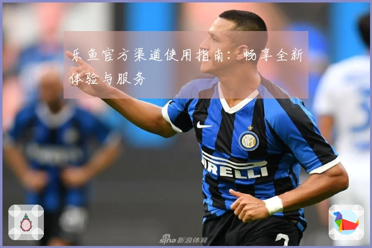 乐鱼官方渠道使用指南：畅享全新体验与服务