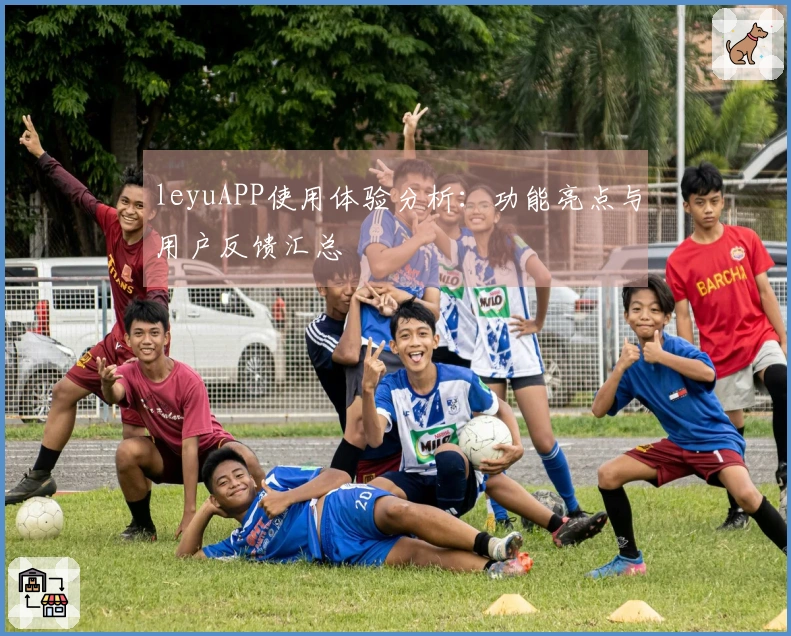 leyuAPP使用体验分析：功能亮点与用户反馈汇总