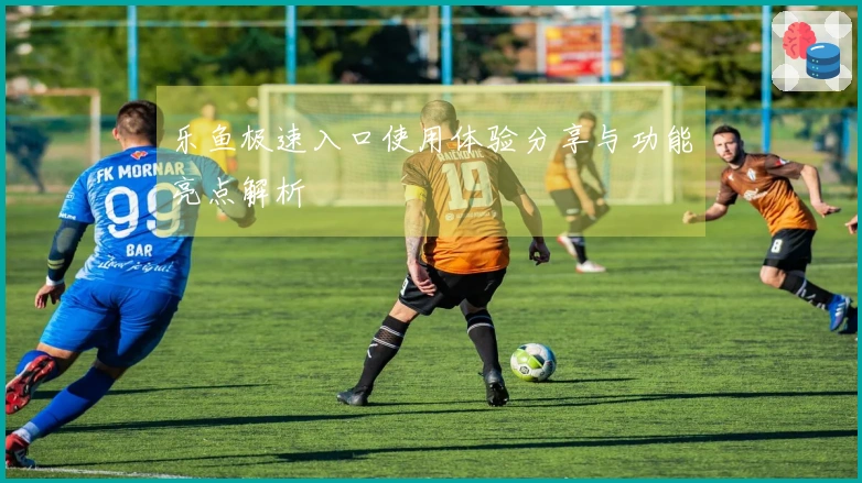 乐鱼极速入口使用体验分享与功能亮点解析