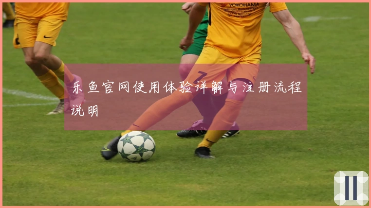 乐鱼官网使用体验详解与注册流程说明